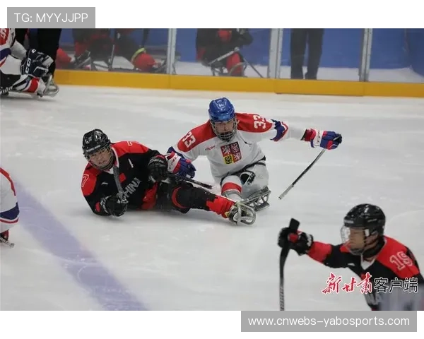 意甲残疾人观赛区扩容，俱乐部社会责任评分提升